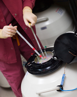 εμβρυομεταφορά κατεψυγμένων εμβρύων