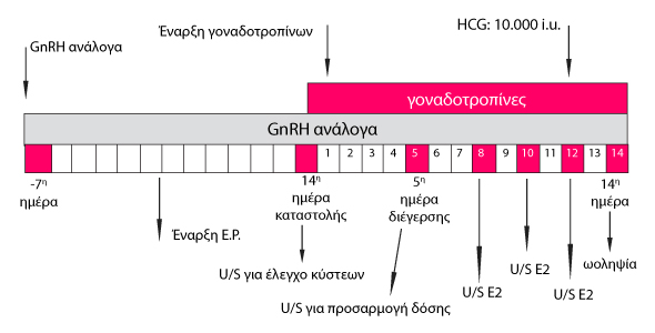 Παρατεταμένο πρωτόκκολο με ανάλογα