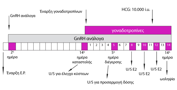 παρατεταμένο πρωτόκολλο με ανάλογα
