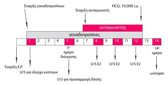 βραχύ πρωτόκολλο με ανταγωνιστή