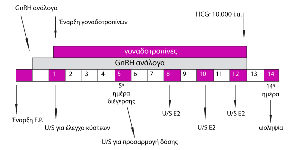 Βραχύ πρωτόκκολο με ανάλογα